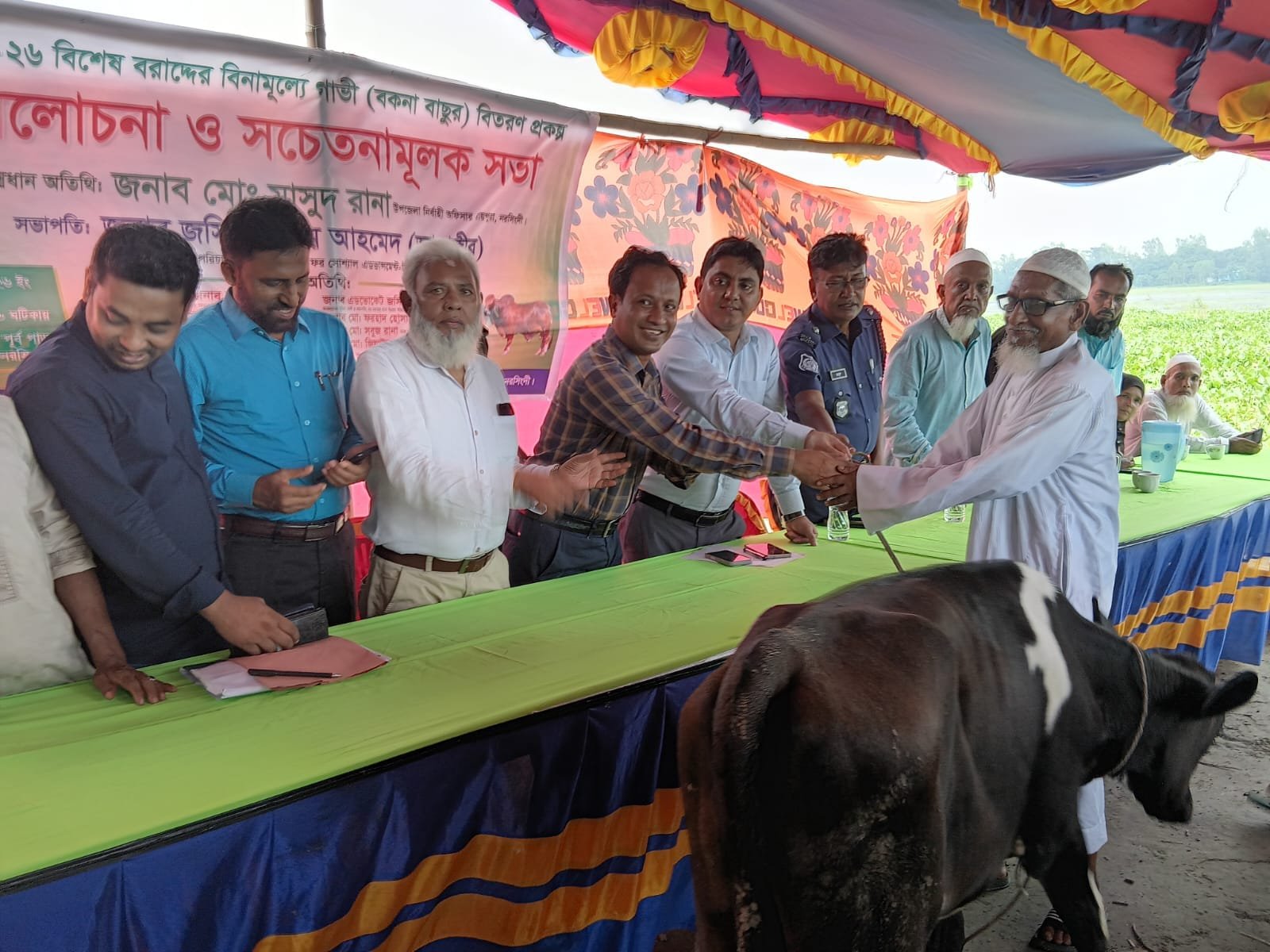 Cow distribution handover to an elderly beneficiary.